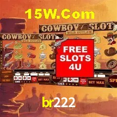 Promoção Relâmpago br222